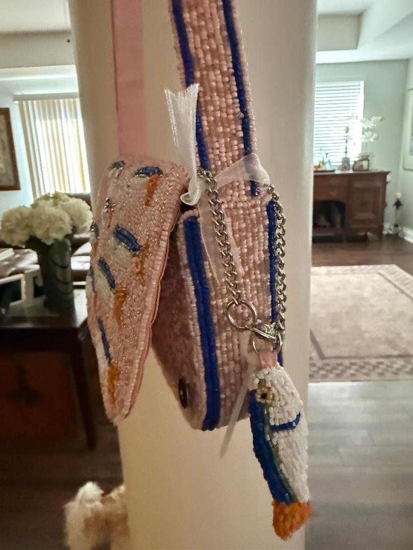 Trending Beaded Bags and Resort Collection - Pink Sardine Bag